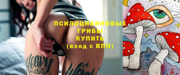 тгк Алексин