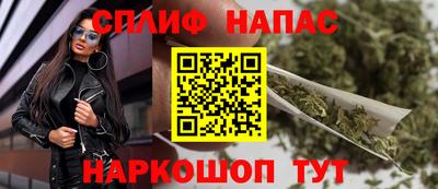 Альфа ПВП Гатчина
