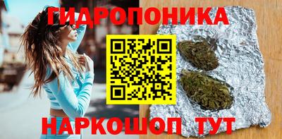 прущие грибы Гагарин