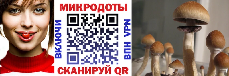 это формула  Татарск  Псилоцибиновые грибы прущие грибы 