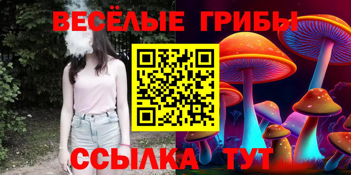 Псилоцибиновые грибы Cubensis Татарск