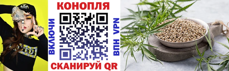 Бошки Шишки ГИДРОПОН  дарнет шоп  Татарск 