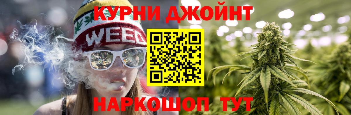 Каннабис индика  Каннабис планчик  Татарск  Конопля сатива  Каннабис LSD WEED 